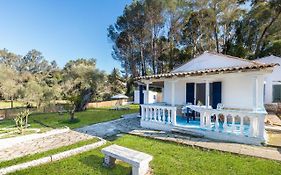 Blue House